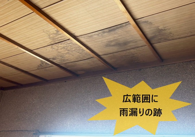 【堺市西区】築50年以上の連棟住宅にて雨漏り調査｜折板屋根・瓦棒屋根・ベランダが老朽化