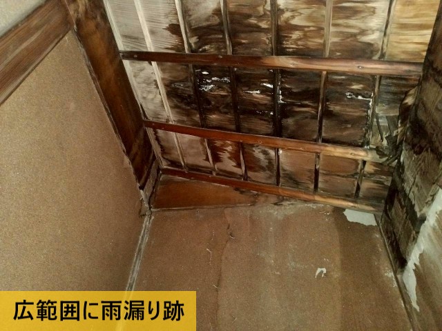 広範囲に雨漏り跡
