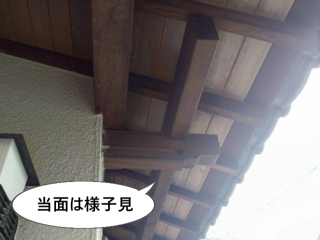 当面は様子見