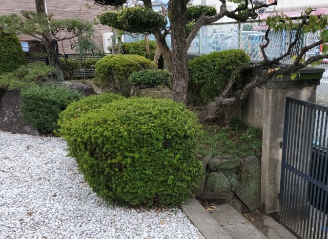 手入れが行き届いたきれいな庭