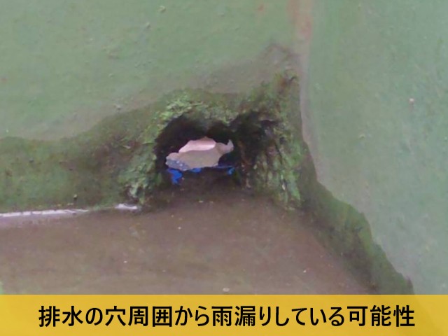排水の穴周囲から雨漏りしている可能性