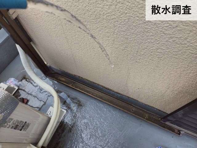 散水調査