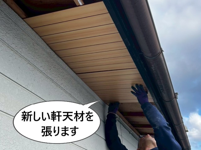 【堺市東区】雨漏りで剥がれた軒天の張り替え｜物置の軒天・軒樋補修工事