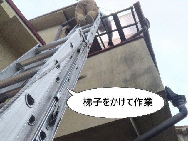梯子をかけて作業