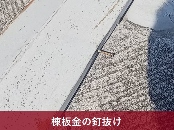 棟板金の釘抜け