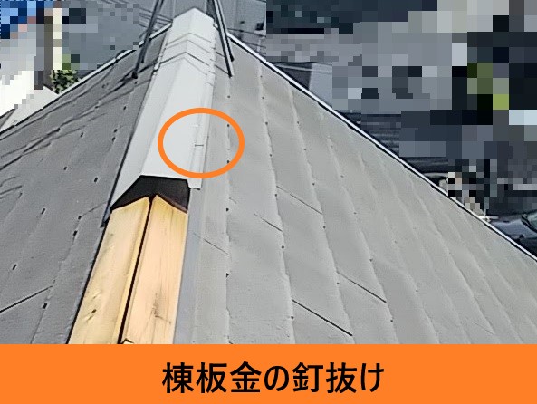 棟板金の釘抜け