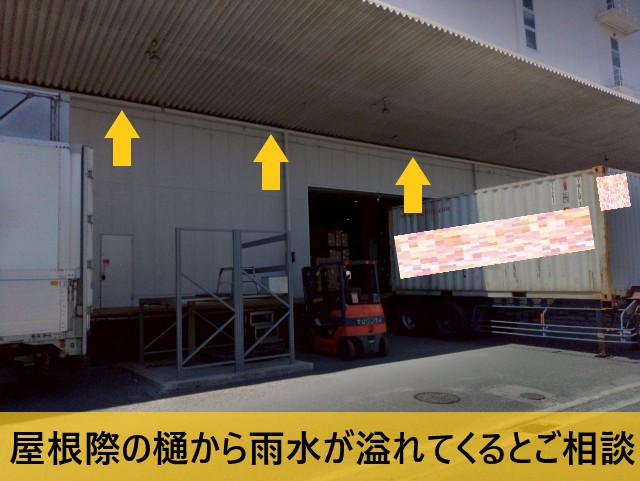 堺市中区の大型倉庫にて鳩の巣被害で雨漏り|雨樋清掃でオーバーフロー解消