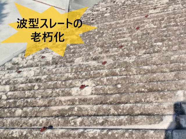 堺市中区にて老朽化した築40年の倉庫屋根の点検｜GL鋼板への張り替え工事をご提案