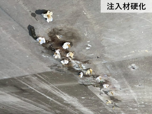 注入材硬化