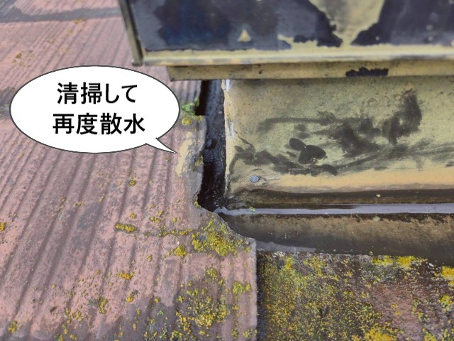 清掃して再度散水