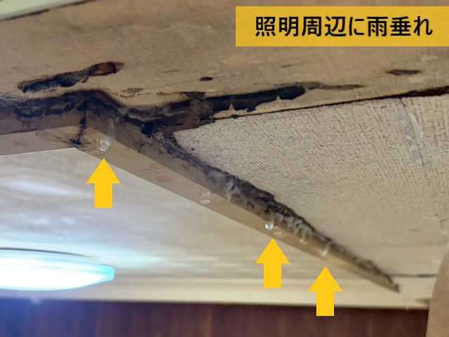 照明周辺に雨垂れ