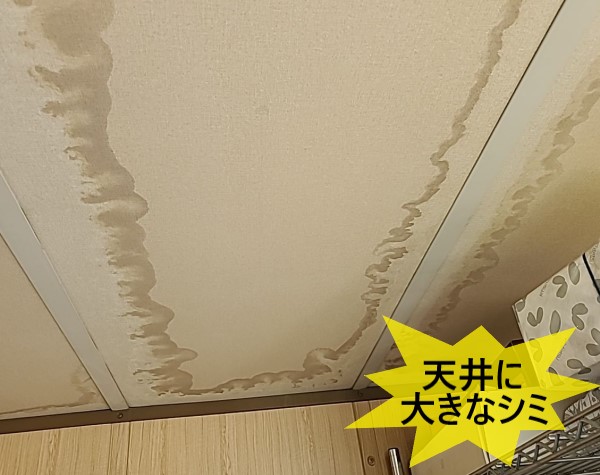 物置の雨漏りで天井に大きなシミができている