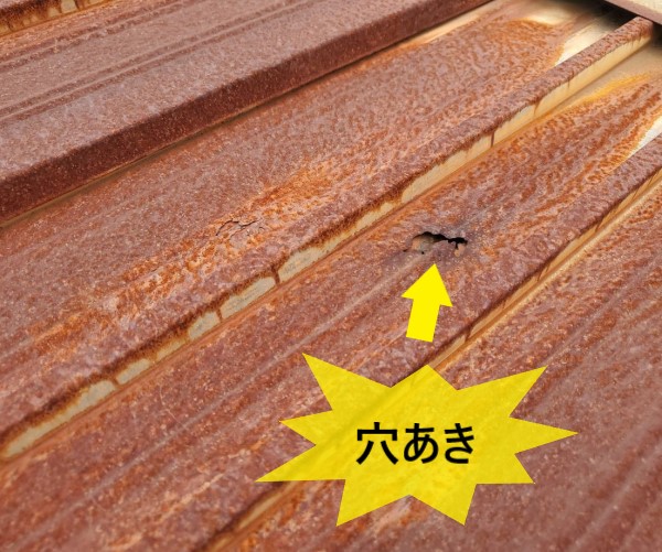 堺市南区で物置の雨漏りで内部が水浸しに！錆びが進行して穴が開いている物置屋根にカバー工法をご提案