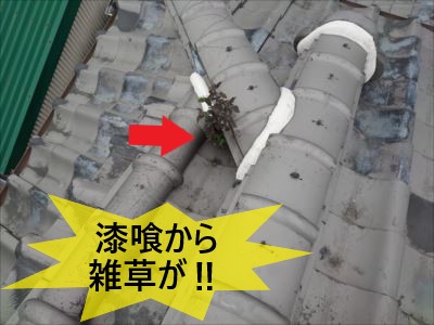 堺市中区にて漆喰が劣化している瓦屋根の現地調査｜漆喰から雑草が生えている部分もありました