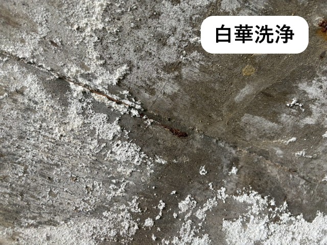 白華洗浄