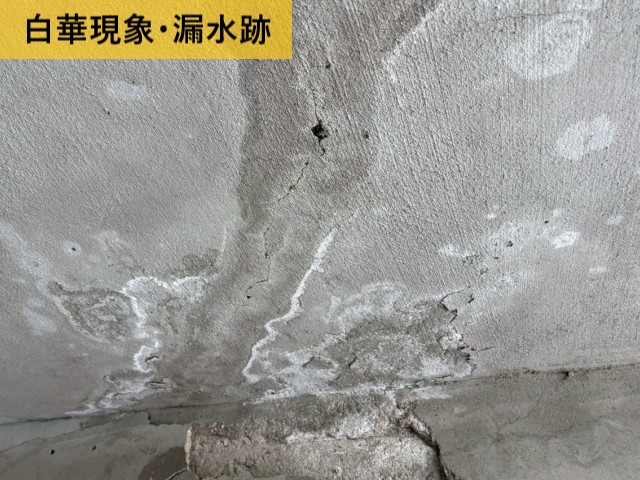 白華現象・漏水跡