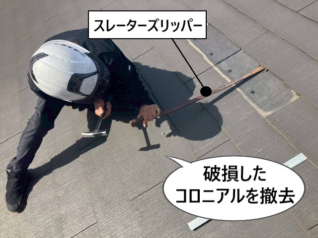 破損したコロニルを撤去