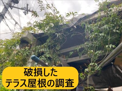 堺市西区にて破損したテラス屋根の調査｜屋根枠木材の劣化や外壁取り合い部の不具合もありました