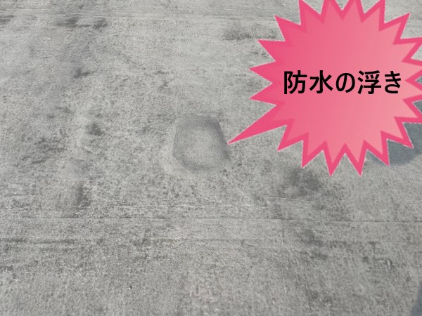 堺市南区で陸屋根・屋上防水の現地調査｜アスファルト防水にはトップコーティングのひび割れや浮きが発生！