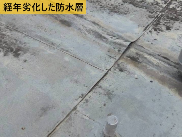 【堺市南区】4階室内の雨漏り調査｜屋上防水層の劣化と亀裂を確認