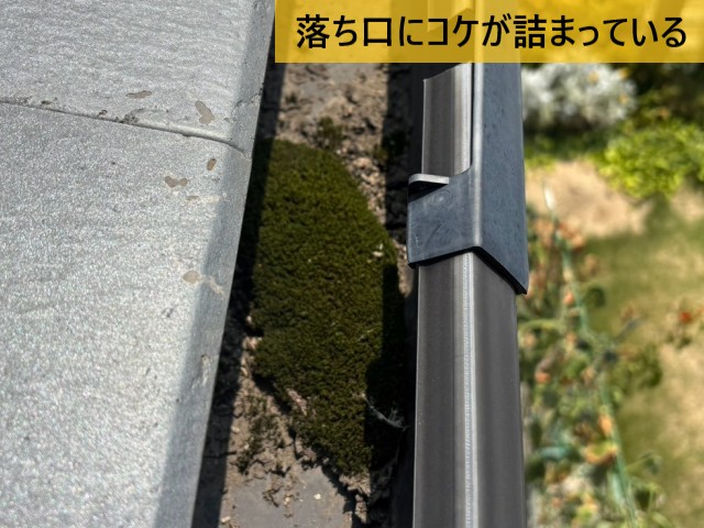 堺市中区｜大雨で1階軒樋から雨水があふれる原因を調査｜落ち口のコケを撤去
