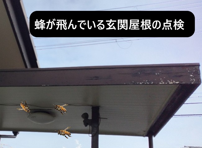 堺市美原区｜玄関屋根（庇・ひさし）の隙間から蜂が出入り！原因を調査