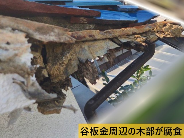 谷板金周辺の木部が腐食