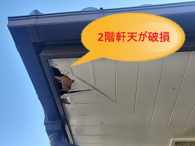 堺市南区にて2階軒天が破損しているとご相談｜屋根の漆喰が劣化して入り込んだ雨水が軒天を腐食させていました
