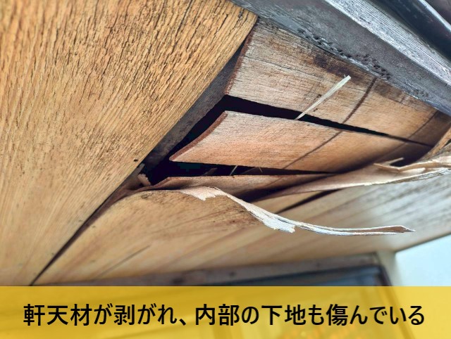 【堺市北区】庇の裏（軒天）が剥がれて垂れる原因は？｜応急補修跡の劣化と板金の傷みを調査