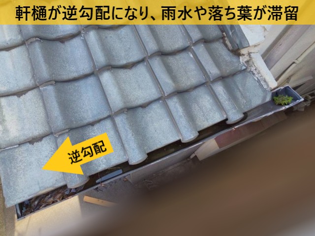 軒樋 雨水や落ち葉が滞留