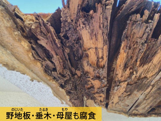 野地板垂木母屋も腐食