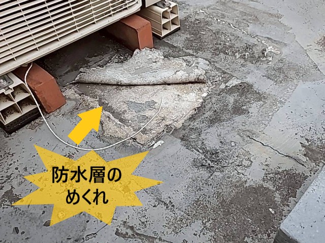 防水層のめくれ