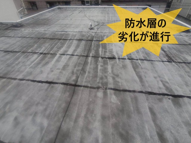 【和泉市】築33年RC造の陸屋根住宅にて雨漏り調査｜防水の劣化でドレンから漏水発生
