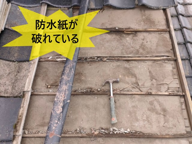 防水紙が破れている