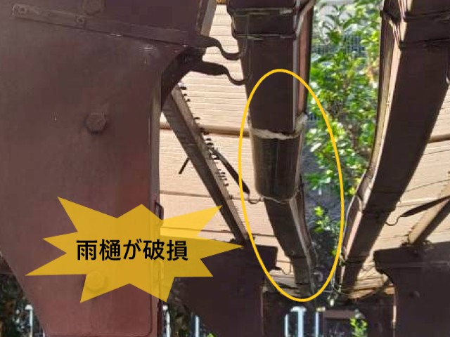 雨樋が破損