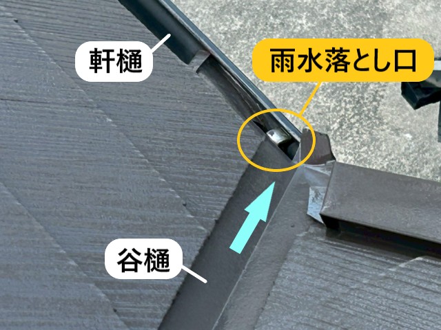 雨水落とし口