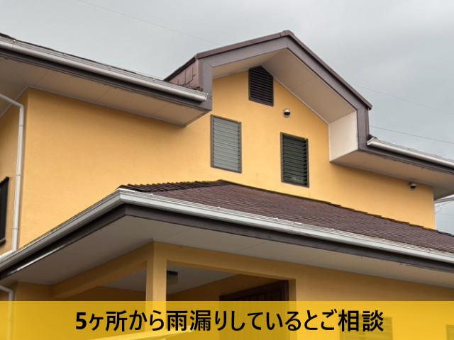 5ヶ所から雨漏りしているとご相談