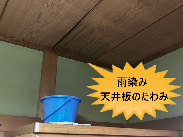 堺市中区にてモルタル外壁の経年劣化で天井から雨漏り｜のし瓦の不要な漆喰・壁際水切りのコーキング施工不良も見られました