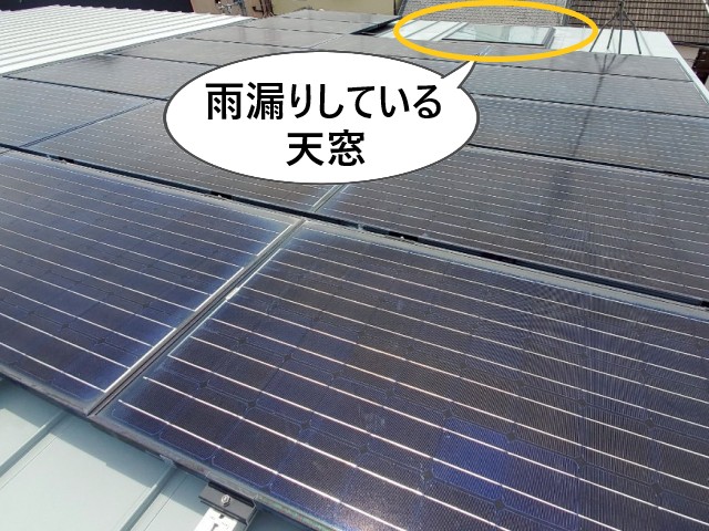 雨漏りしている天窓