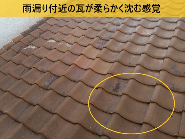 堺市南区｜瓦屋根の雨漏り調査｜天井の雨染みと沈み込む瓦を確認