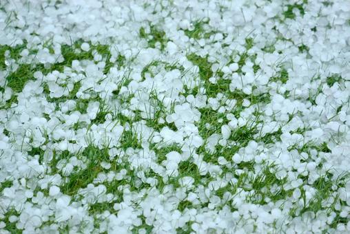 雹が積もっている地面