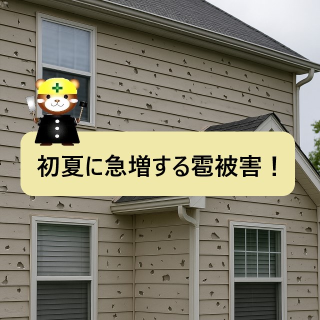 堺店発:初夏に急増する雹の住宅被害|火災保険の雹災で補償されるかも!