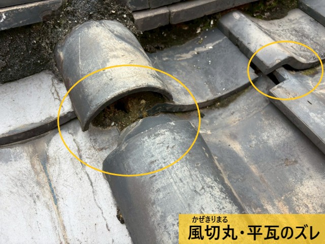【堺市東区】築50年の瓦屋根住宅で雨漏り調査｜立ち上がり部分や棟まわりの補修をご提案
