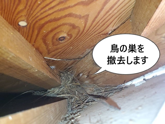 堺市北区にて鳥が巣を作っていた軒天の補修と換気ガラリ取り付け工事｜春から夏は鳥の巣対策を！鳥が巣を作りやすい場所は？