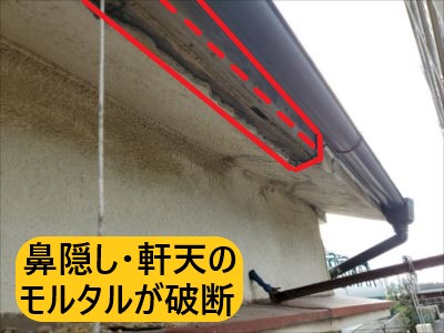 堺市堺区にて鼻隠しと軒天のモルタルが経年劣化により破断して落下！現地調査へ伺いました